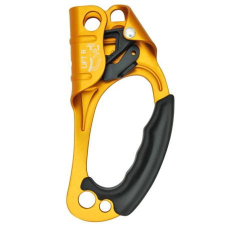 Lift – Direito – Kong