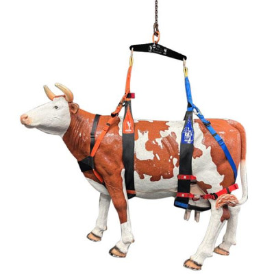 Arnês para animais Berta KONG